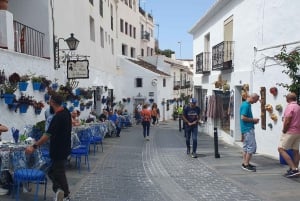 Z Malagi: prywatna wycieczka z przewodnikiem po Marbelli, Mijas i Banús