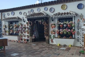 From Malaga: Private guided tour of Marbella, Mijas, Banús