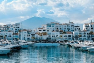 From Malaga: Private guided tour of Marbella, Mijas, Banús