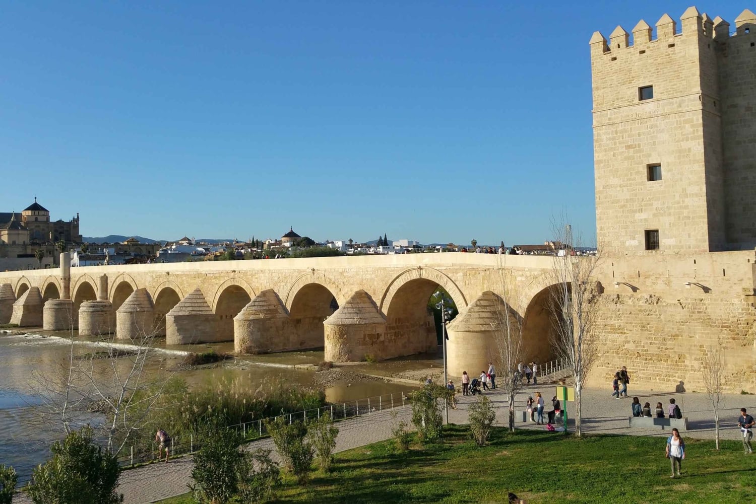 Z Malagi: prywatna piesza wycieczka z przewodnikiem po Kordobie