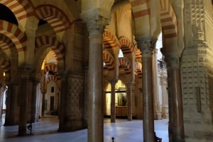 Z Malagi: prywatna piesza wycieczka z przewodnikiem po Kordobie