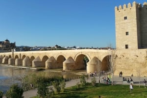 Z Malagi: prywatna piesza wycieczka z przewodnikiem po Kordobie