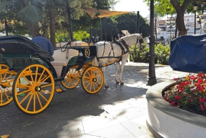 From Málaga: Private Mijas Tour - Luxury Tesla X Ride
