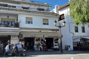 From Málaga: Private Mijas Tour - Luxury Tesla X Ride