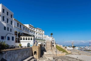 From Malaga: Private Northern Morocco Tangier Day Tour