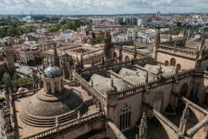 From Malaga: Private Seville, Alcazar and Cathedral Day Trip