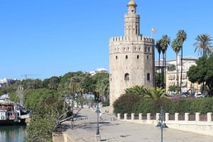 From Malaga: Private Seville, Alcazar and Cathedral Day Trip