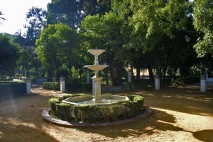 From Malaga: Private Seville, Alcazar and Cathedral Day Trip