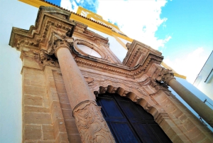 From Malaga: Private Tour in Marbella