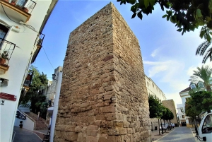 From Malaga: Private Tour in Marbella