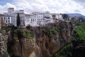 Från Malaga: Privat tur till Ronda och Setenil de las Bodegas