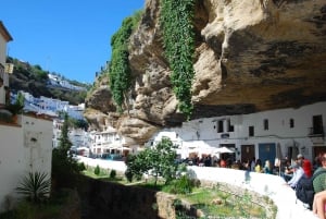 Von Malaga aus: Private Tour nach Ronda und Setenil de las Bodegas
