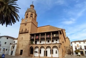 Fra Málaga: privat utflukt til Ronda og Setenil