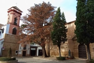 From Málaga: private tour to Ronda and Setenil