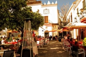 De Málaga: Transfer privado do Aeroporto de Málaga para Marbella