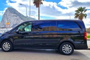 From Málaga: private trip in Gibraltar and Marbella