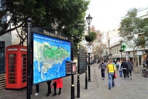 From Málaga: private trip in Gibraltar and Marbella