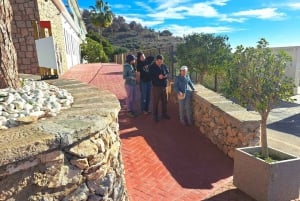 Från Malaga: privat resa till Nerja och dess grotta