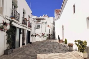 Fra Malaga: privat tur til Nerja og grotten der