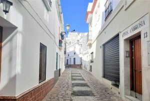 De Málaga: viagem particular para Nerja e sua caverna