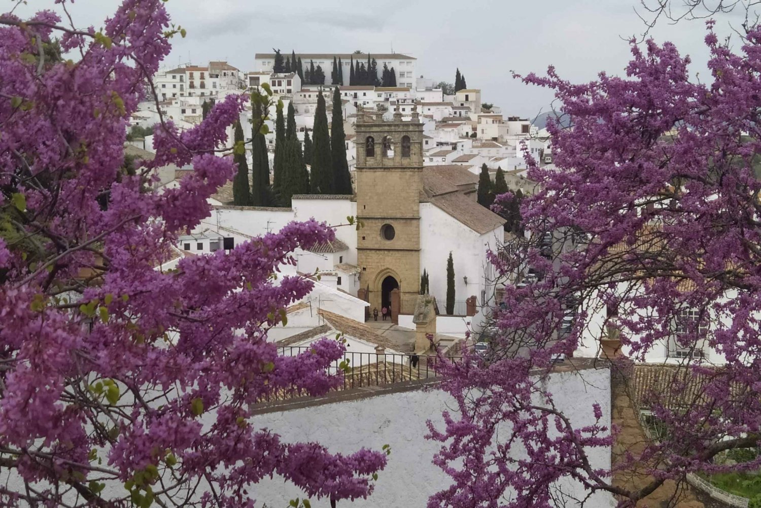 From Malaga: Ronda Full Day Tour by Bus