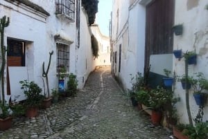 From Malaga: Ronda Full Day Tour by Bus