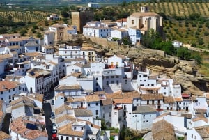 From Malaga: Ronda and Setenil de las Bodegas Complete Tour