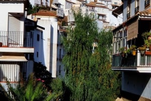 From Malaga: Ronda and Setenil de las Bodegas Complete Tour