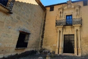 Från Malaga: Dagsutflykt till Ronda och Setenil de las Bodegas
