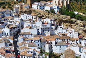 De Málaga: Viagem de 1 dia a Ronda e Setenil de las Bodegas