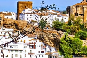 Fra Malaga: Dagsutflukt til Ronda og Setenil de las Bodegas