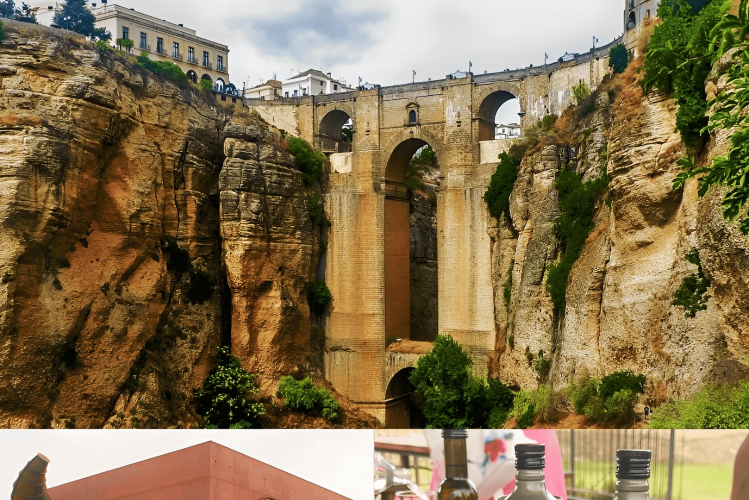 From Málaga: Ronda Experience with oil tasting