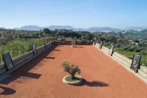 From Málaga: Ronda Experience with oil tasting