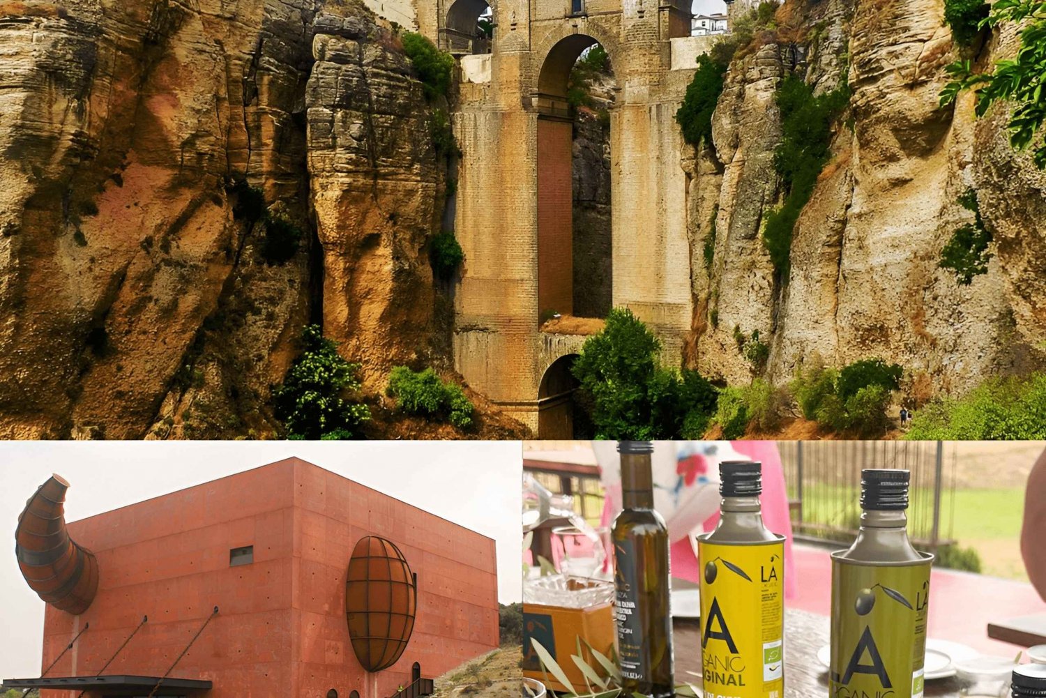 From Málaga: Ronda Experience with oil tasting