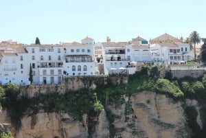 From Málaga: Ronda Experience with oil tasting