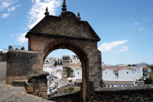 From Malaga: Ronda Private Guided Day Trip & Bullring Entry