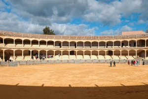 Da Malaga: gita di un giorno con guida privata a Ronda e ingresso all'arena