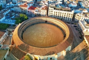 Från Málaga: Ronda med tjurfäktningsarena och Don Boscos hus