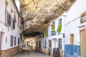 Fra Málaga: Ronda, den hvide landsby og Sevilla dagstur