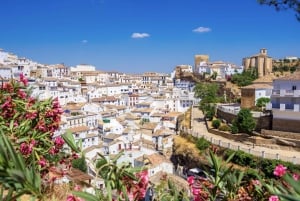 Fra Málaga: Dagstur til Ronda, den hvite landsbyen og Sevilla