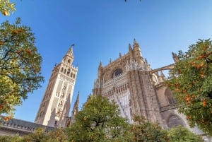 Da Malaga: Escursione di un giorno a Ronda, Villaggio Bianco e Siviglia
