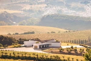 Från Málaga: Ronda, vin- och olivoljeprovning liten grupp