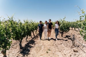 Fra Málaga: Ronda & vingårdsoplevelse med vinsmagning