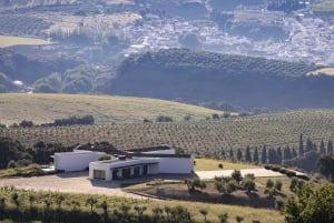 Vanuit Málaga: Ronda & Wijnbelevenis met wijnproeverij