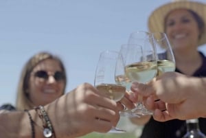 De Málaga: Ronda e experiência em uma vinícola com degustação de vinhos
