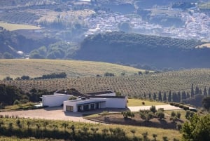 Från Málaga: Ronda & vingårdsupplevelse med vinprovning