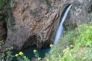 From Malaga: Ronda y Setenil de la Bodegas Day Trip by coach