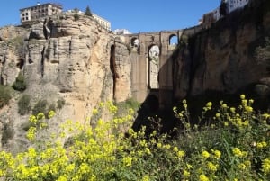 From Malaga: Ronda y Setenil de la Bodegas Day Trip by coach