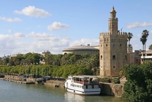 From Malaga: Seville Day Trip with Real Alcázar tickets