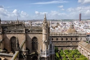 From Malaga: Seville Day Trip with Guided City Walking Tour